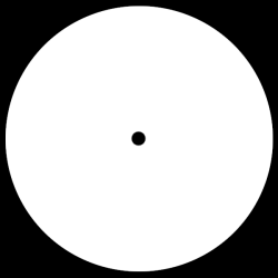 Blank Record Labels